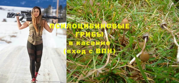 мдпв Гусев
