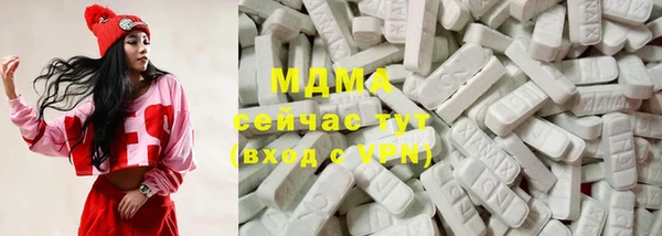 мдпв Гусев