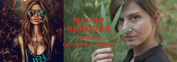 мдпв Гусев