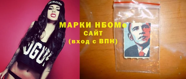 мдпв Гусев