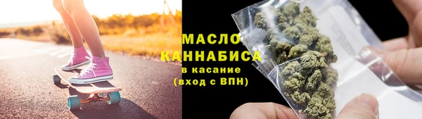 мдпв Гусев