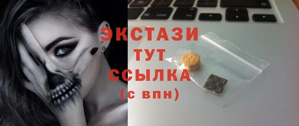 мдпв Гусев