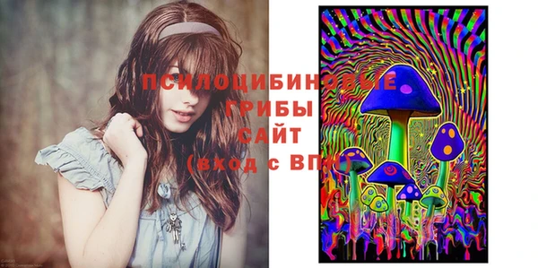 скорость Гусь-Хрустальный