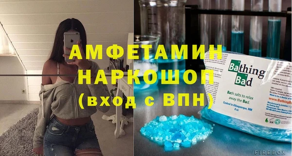 мдпв Гусев