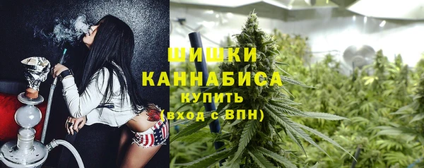 мдпв Гусев
