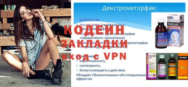 мдпв Гусев