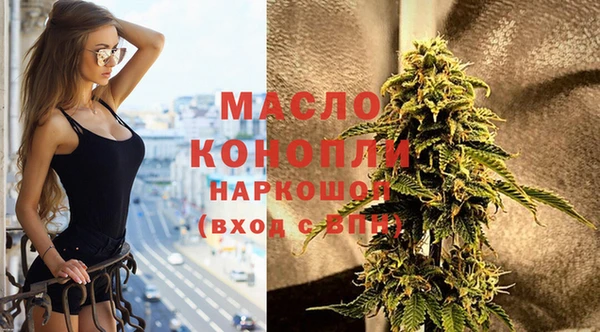 мдпв Гусев