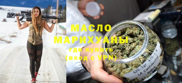 мдпв Гусев