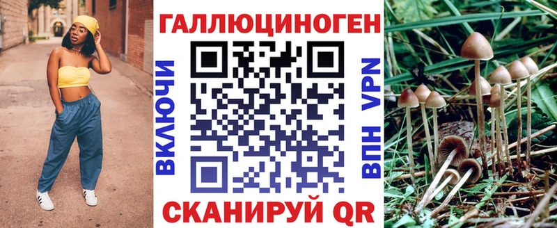 Галлюциногенные грибы MAGIC MUSHROOMS  Купить  Лыткарино 